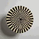 DSC00089 (1).webp