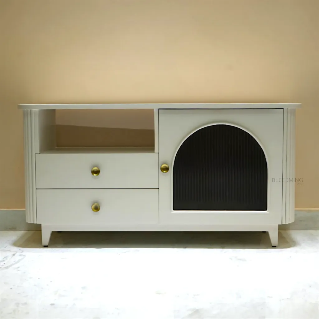 Narmada TV Unit Front Angle .webp