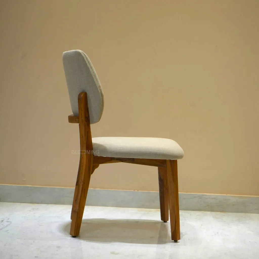 DSC02541-Photoroom.webp